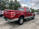 Used 2011 Ford F150 XLT w/ XLT Chrome Pkg image 4