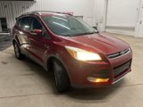 Used 2014 Ford Escape Titanium image 2