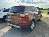 Used 2017 Ford Escape SE image 3
