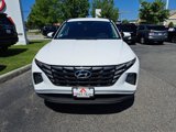 Used 2024 Hyundai Tucson SEL image 3