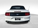 Used 2020 Ford Mustang Premium image 5