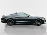 Used 2020 Ford Mustang Coupe w/ Equipment Group 101A image 6