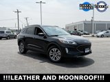 Used 2022 Ford Escape SEL image 2