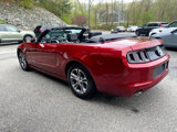 Used 2014 Ford Mustang Premium image 3