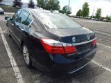 Used 2015 Honda Accord EX-L image 6