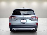 Used 2021 Ford Escape SE w/ Convenience Package image 4