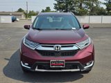 Used 2019 Honda CR-V Touring image 6