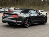 Used 2018 Ford Mustang Premium w/ Equipment Group 201A image 5