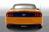 Certified 2019 Ford Mustang Convertible w/ Equipment Group 101A image 4