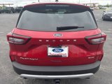 New 2025 Ford Escape Platinum w/ Premium Technology Package image 6