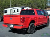 Certified 2021 Ford F150 XLT w/ Equipment Group 302A High image 6