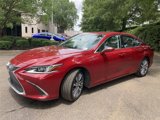 Used 2019 Lexus ES 350 image 5
