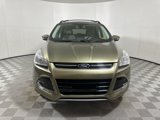 Used 2013 Ford Escape SEL image 2