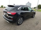 Used 2020 Ford Escape SEL image 5