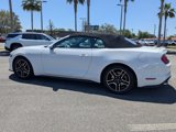 Used 2020 Ford Mustang Premium image 6