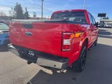 Used 2018 Ford F150 XLT w/ Equipment Group 301A Mid image 6