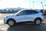 New 2025 Ford Escape Active image 5