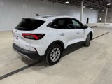 Used 2024 Ford Escape Active image 6