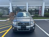Used 2011 Ford Escape Limited w/ 302A Rapid Spec Order Code image 2