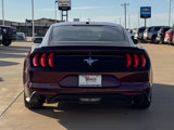 Used 2018 Ford Mustang Premium w/ Pony Package image 5
