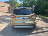 Used 2014 Ford Escape Titanium w/ Equipment Group 401A image 4
