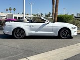 Used 2022 Ford Mustang Premium image 2
