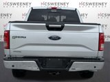 Used 2016 Ford F150 XLT w/ Equipment Group 302A Luxury image 4