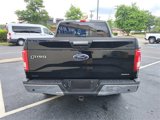 Used 2016 Ford F150 XLT w/ Equipment Group 302A Luxury image 5