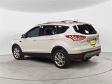 Used 2014 Ford Escape Titanium w/ Equipment Group 401A image 3