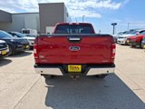 Used 2019 Ford F150 XLT w/ Equipment Group 302A Luxury image 5