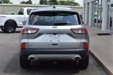 Used 2022 Ford Escape SE image 5