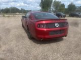 Used 2014 Ford Mustang Premium w/ Equipment Group 202A image 4