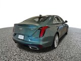 New 2025 Cadillac CT4 Premium Luxury image 5