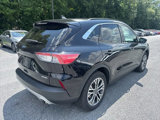Used 2020 Ford Escape SEL image 5