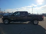 Used 2013 Ford F150 XLT image 4