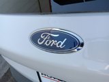 Used 2022 Ford Escape SE image 6
