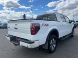 Used 2014 Ford F150 FX4 w/ Equipment Group 402A Luxury image 5