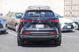 Used 2024 Lexus NX 350 AWD w/ Premium Package image 5