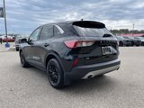 Used 2022 Ford Escape SE image 5