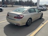 Used 2017 Honda Accord EX-L image 5