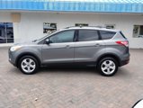 Used 2014 Ford Escape SE w/ Equipment Group 201A image 2