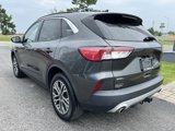Used 2020 Ford Escape SEL image 6