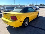 Used 2003 Ford Mustang Cobra image 6