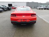 Used 2024 Ford Mustang Premium image 4
