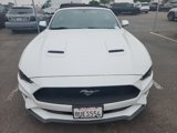 Used 2019 Ford Mustang Premium image 2