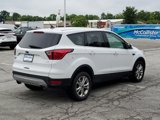 Used 2019 Ford Escape SE image 2