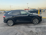 Used 2020 Ford Escape Titanium image 5