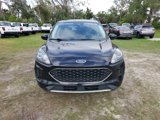 Used 2021 Ford Escape SE image 5