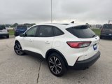 Certified 2022 Ford Escape SE w/ SE Sport Appearance Package image 6