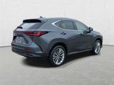 New 2025 Lexus NX 350 AWD w/ Accessory Package (2T) image 5
